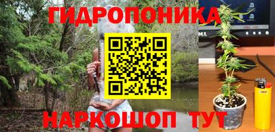 таблы Обь