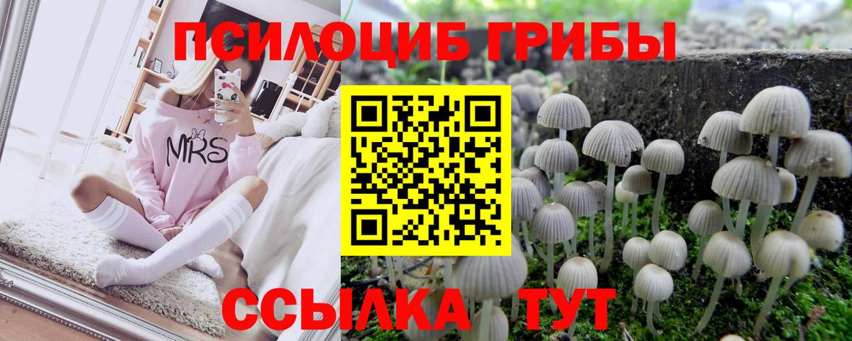 Псилоцибиновые грибы Magic Shrooms  Вход с VPN  Реутов 